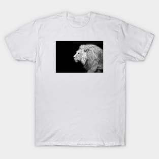 Lion bw 6/4/22 / Swiss Artwork Photography T-Shirt